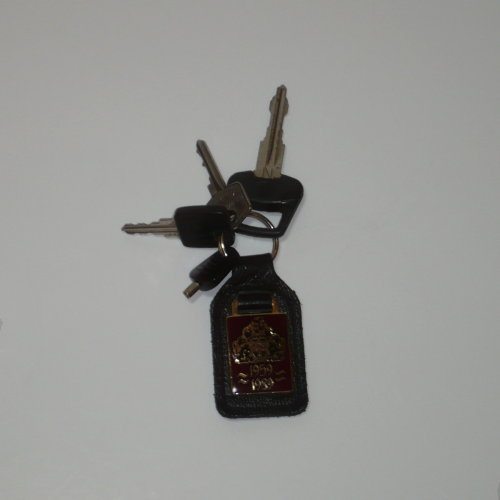 Mini30 commemorative key ring